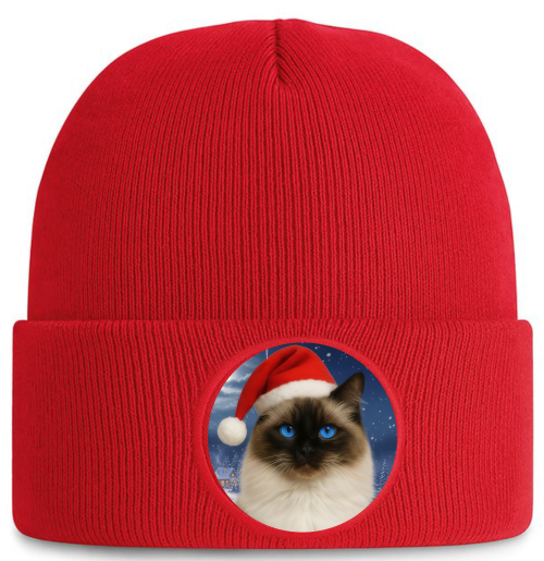 Zimní čepice Vánoční kočka Ragdoll1